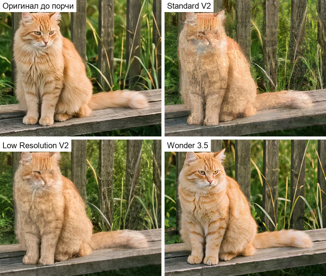 Рыжий кот на лавке: оригинал, Standard V2 и Low Resolution V2 с искажённой головой, чёткий кот после Wonder 3.5