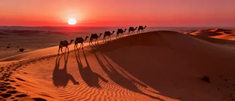 Караван в пустыне (21:9)