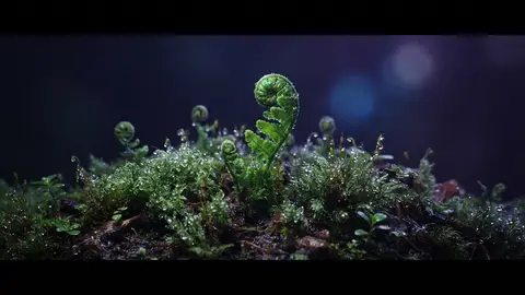 Пример работы нейросети OmniHuman 1.0